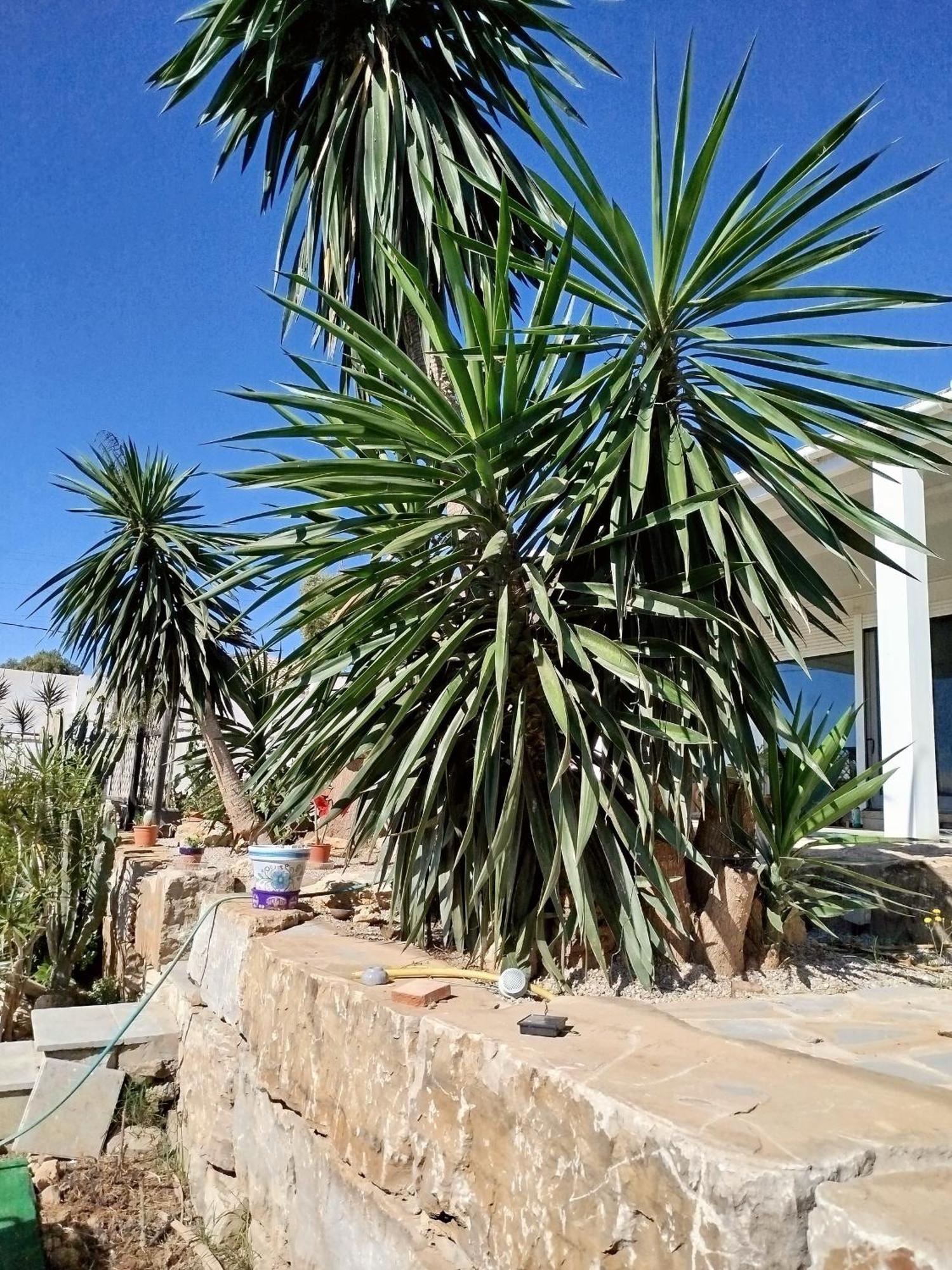 San Roque Countryside Annex Apartment Екстериор снимка